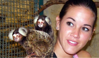  Interaction with animals 